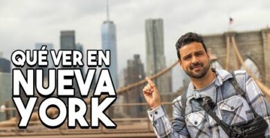 Descubre qué ver en el Bronx, New York: Guía turística completa